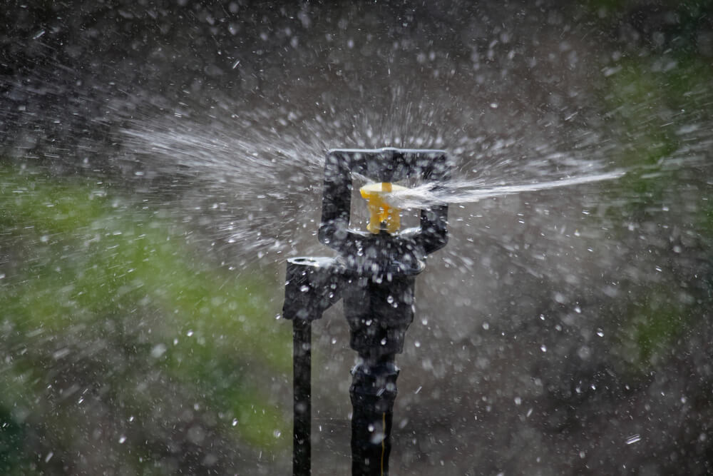Understanding the Various Types of Sprinkler Heads for Your Lawn
